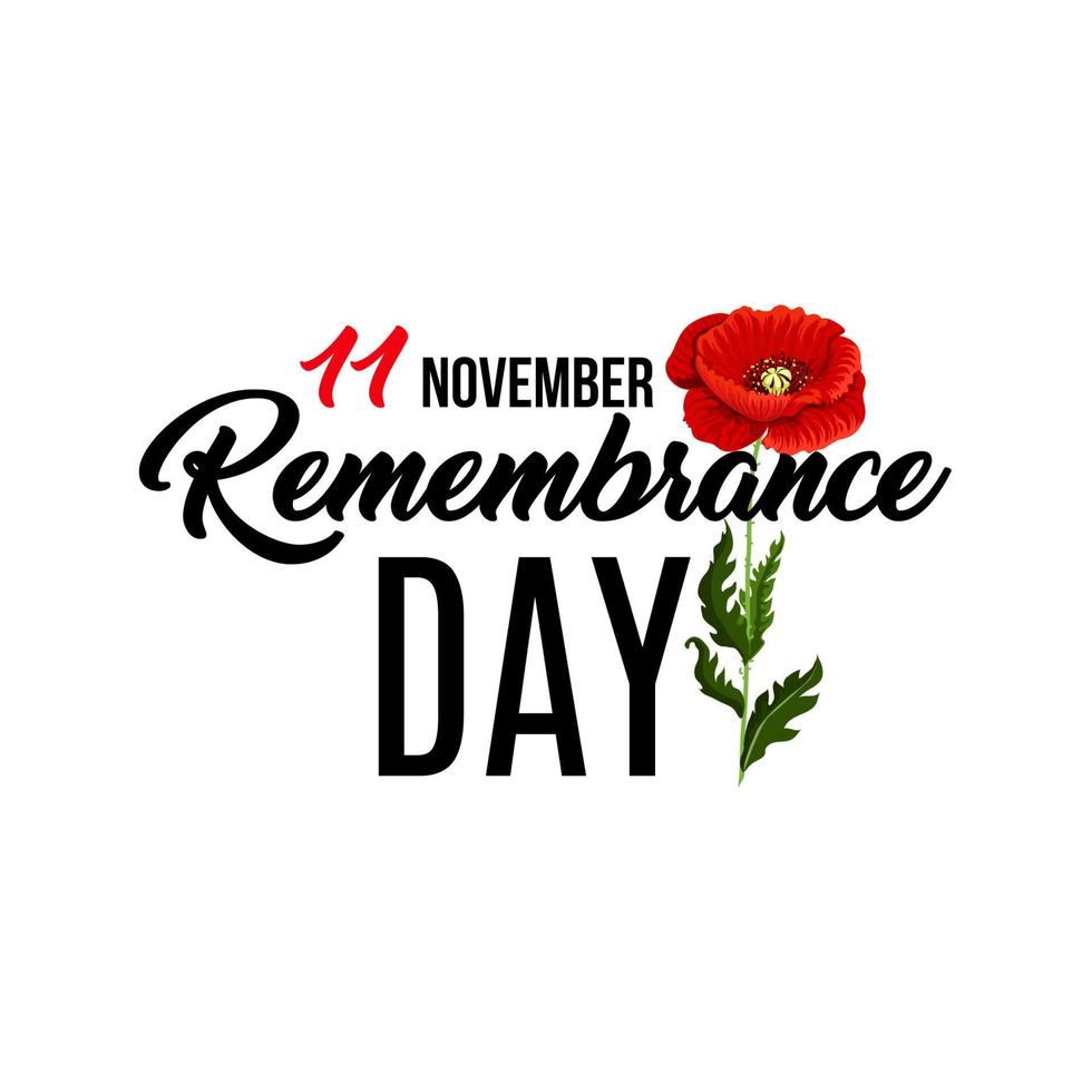 Poster for Remembrance day vector