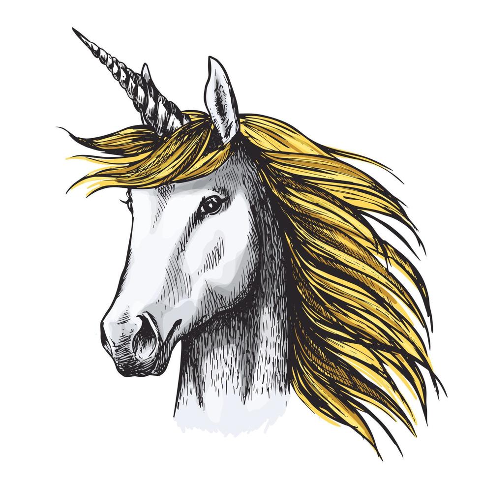 boceto de caballo unicornio de hada o animal heráldico vector