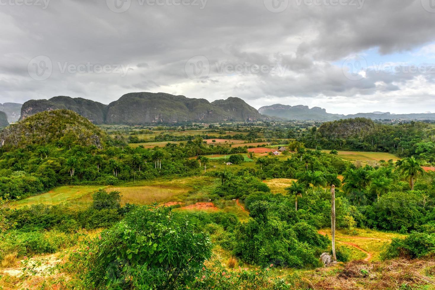 Panorama over the natural landscape of Vinales in Pinar del Rio, Cuba. photo