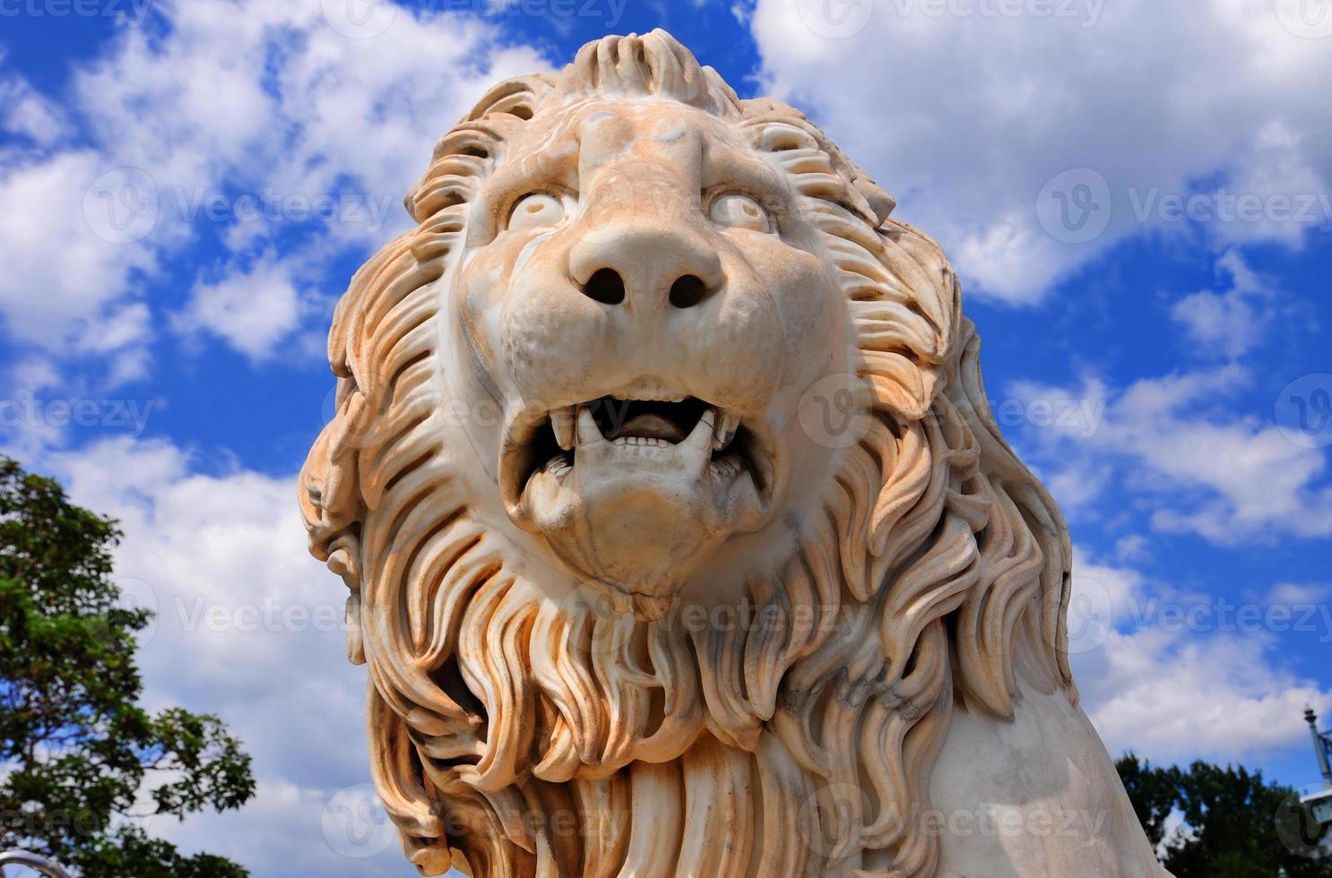 Medici Lion, Vorontsov Palace, Ukraine photo