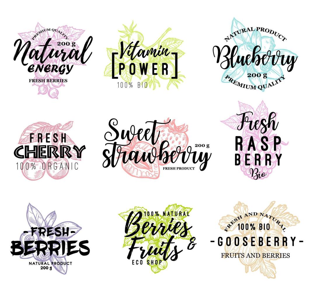 Wild and garden berries lettering icons vector