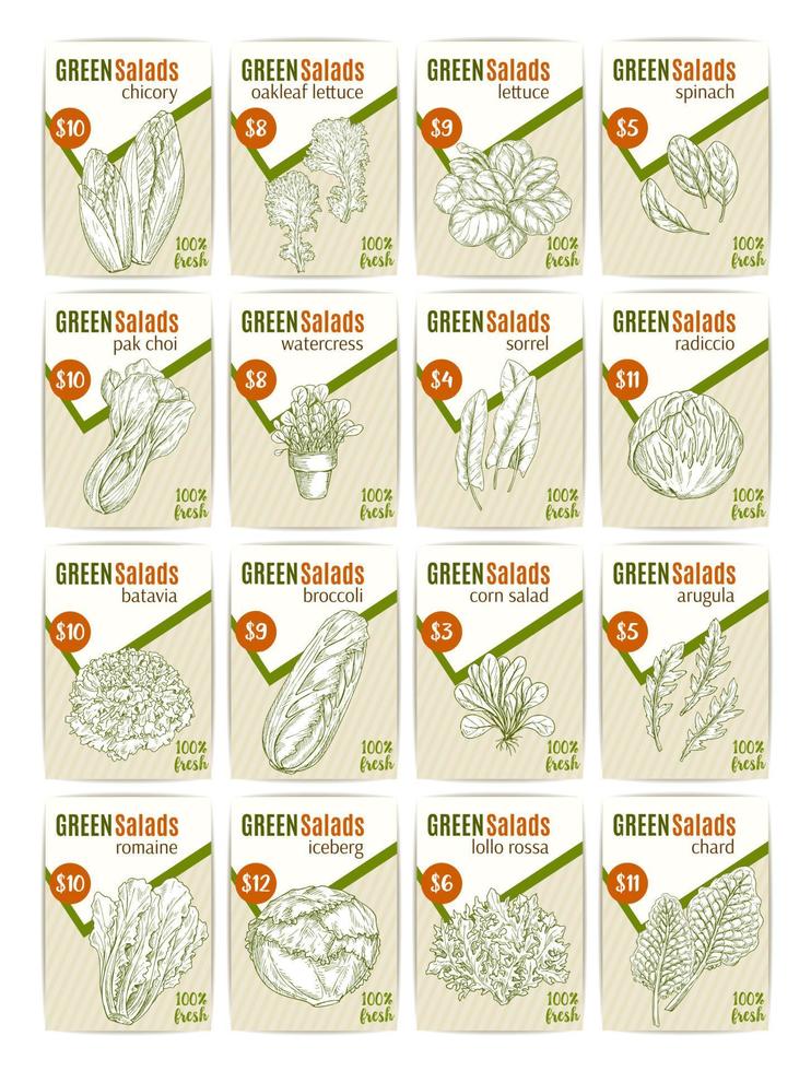 Vector sketch price cards for salads vetables