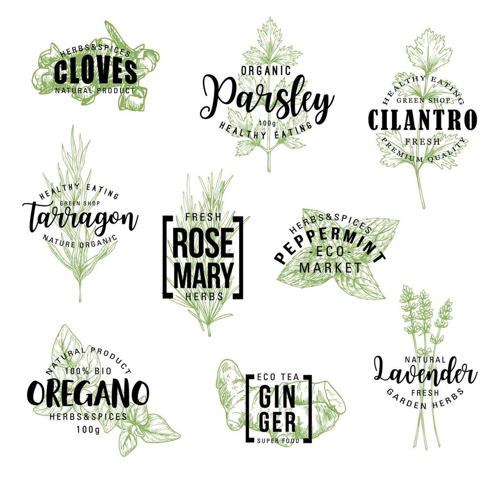 Spices and herbs lettering labels vector