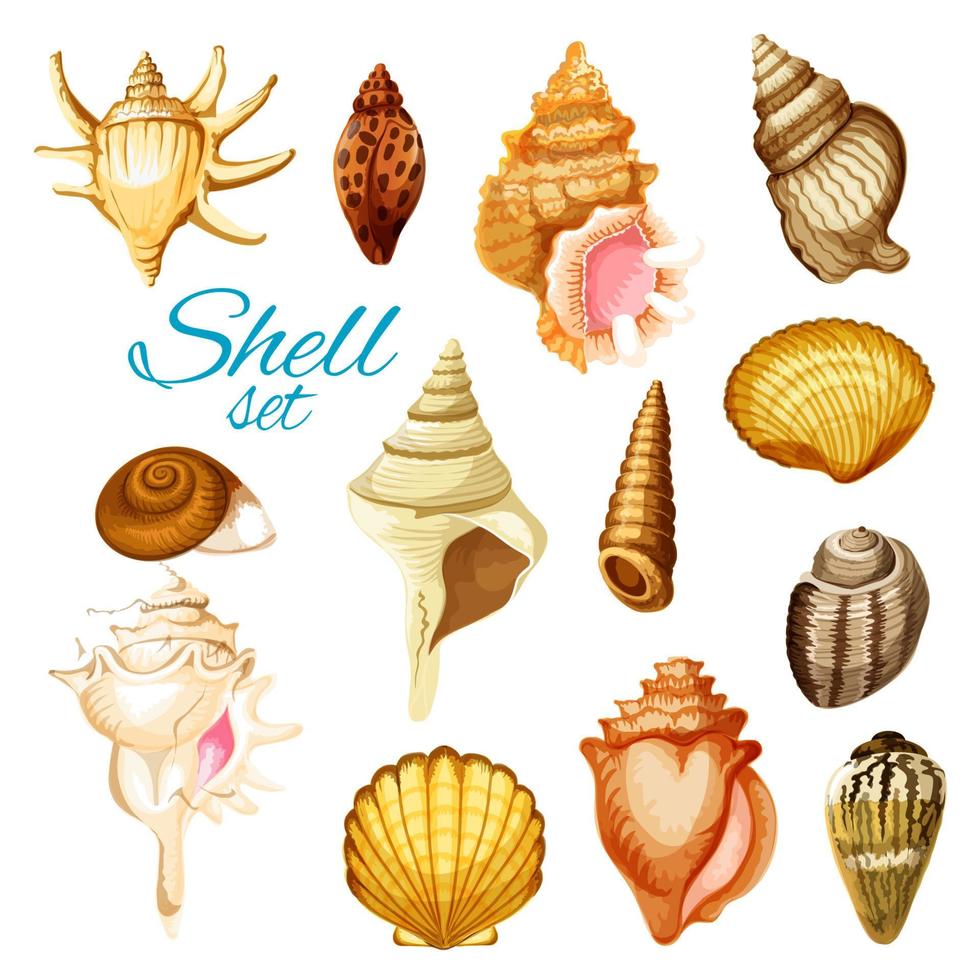 Cartoon seashell and sea mollusk animals vector