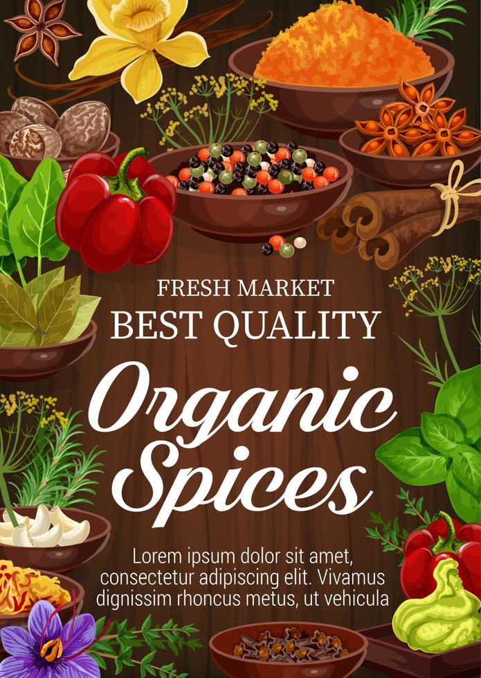 Spices and herbs on wooden background vector