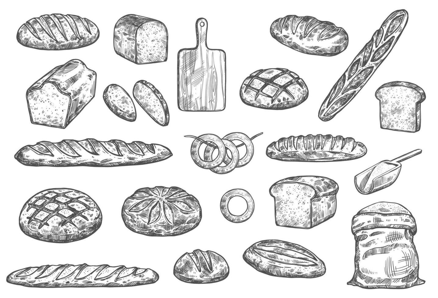 Bread loafs, vector bakery buns and baguettes