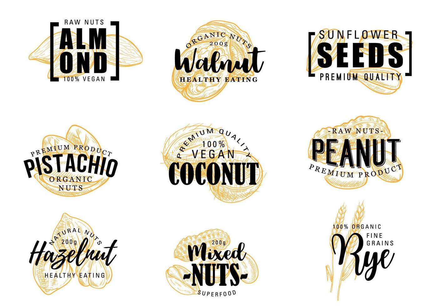 Nuts almond, coconut, peanut, hazelnut vector