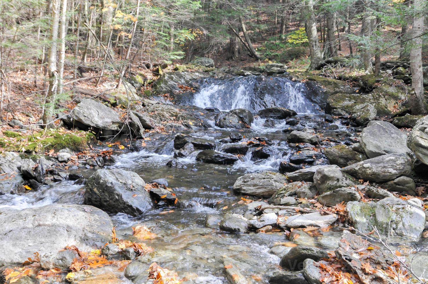 Mount Washington State Forest during Autumn. photo