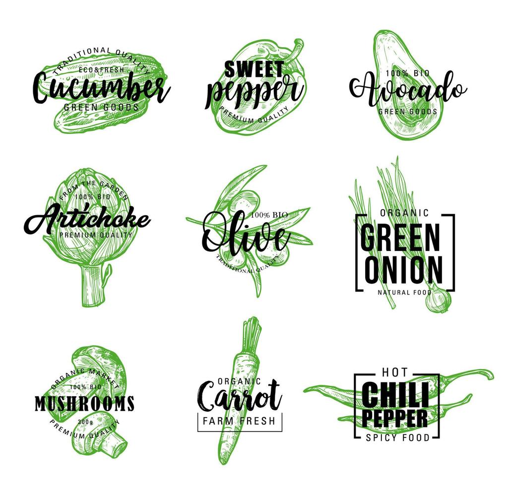 Organic vegetables green lettering icons vector