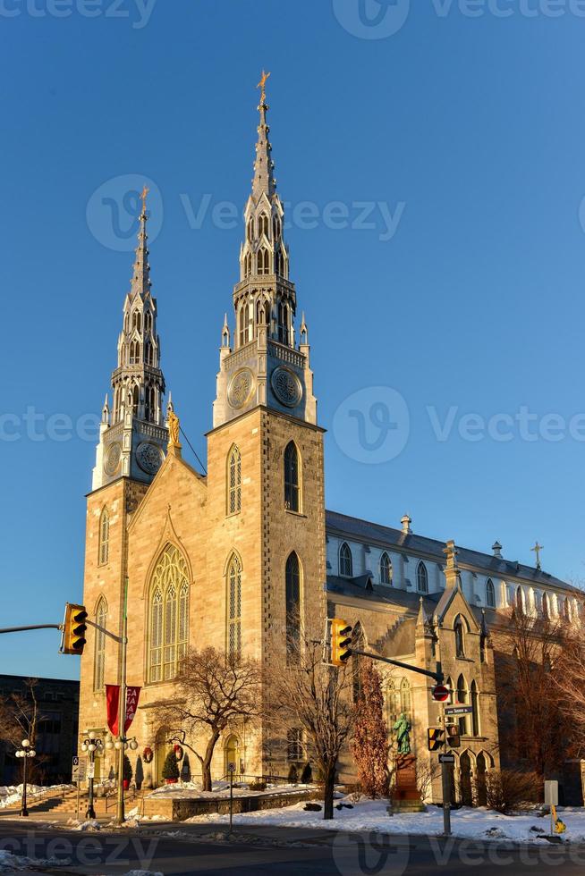 Notre-Dame Cathedral roman catholic Basilica in Ottawa, Canada. photo