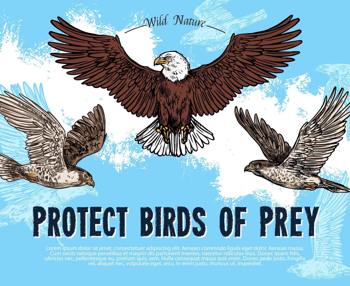 cartel de dibujo vectorial para la protección de aves rapaces vector