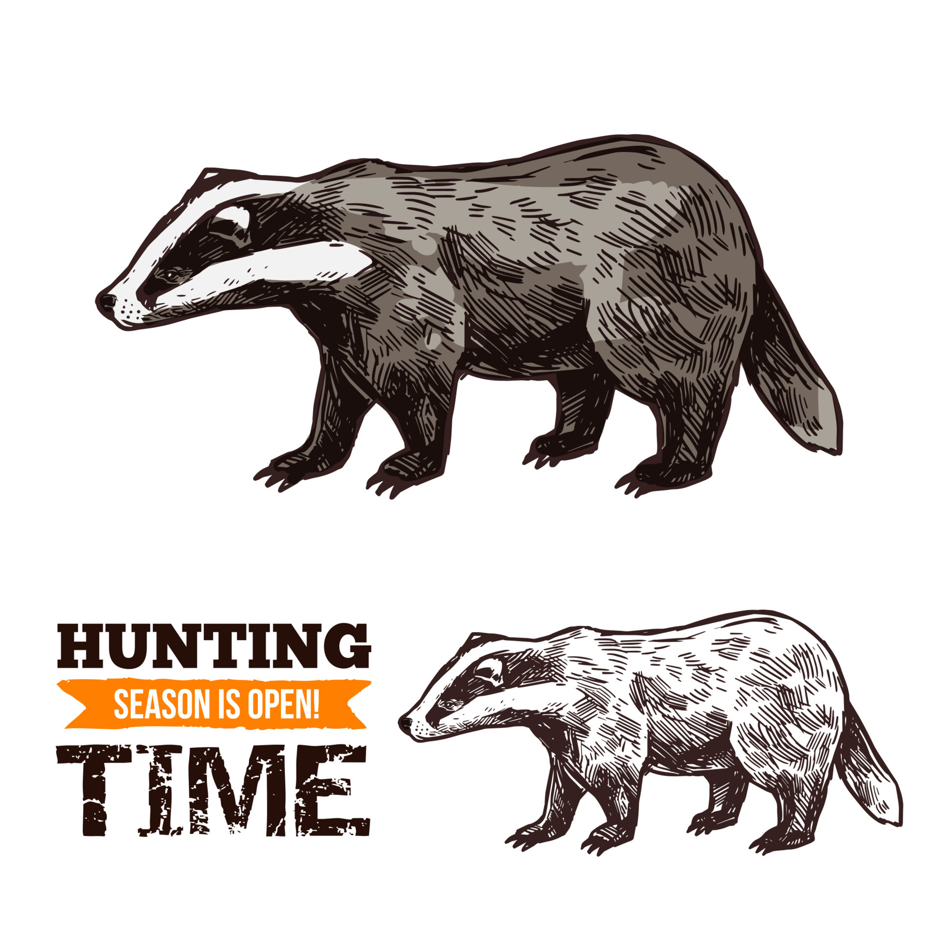 Badger Hunting Sketch