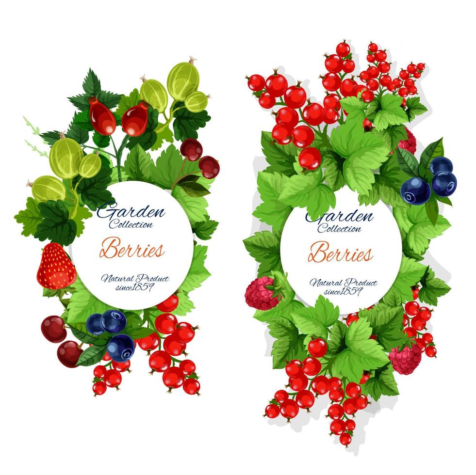 Vector natural garden berries banners