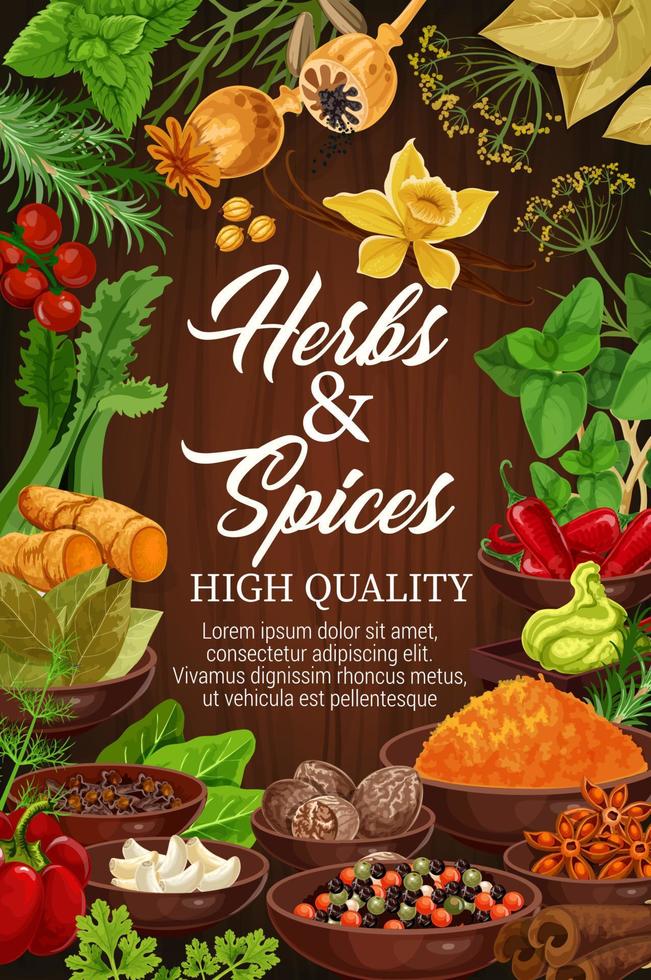 Herbs and spices, organic seasonings vector