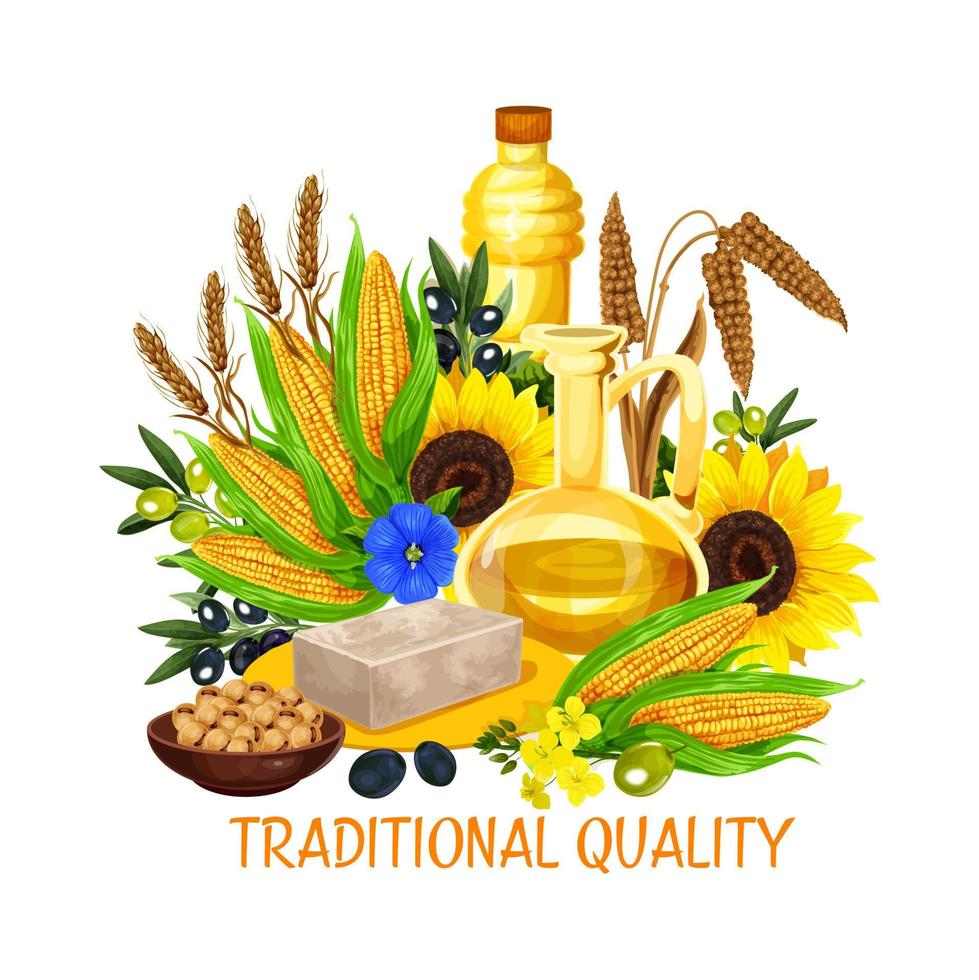 Vegetable seed and nut cooking salad oils, vector