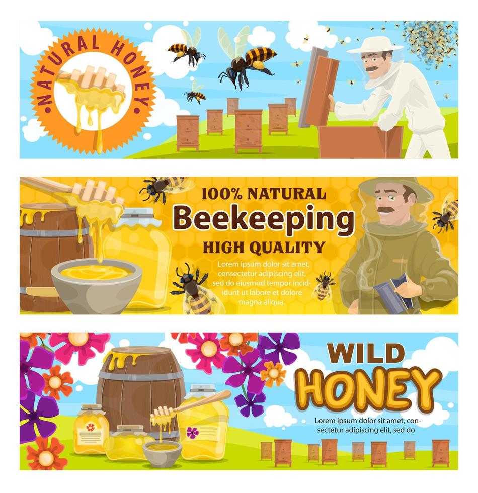 Beekeeping and wild honey on apiary vector