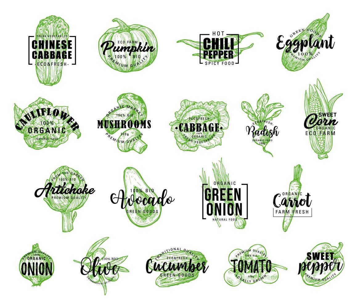 Farm vegetables icons with lettering vector