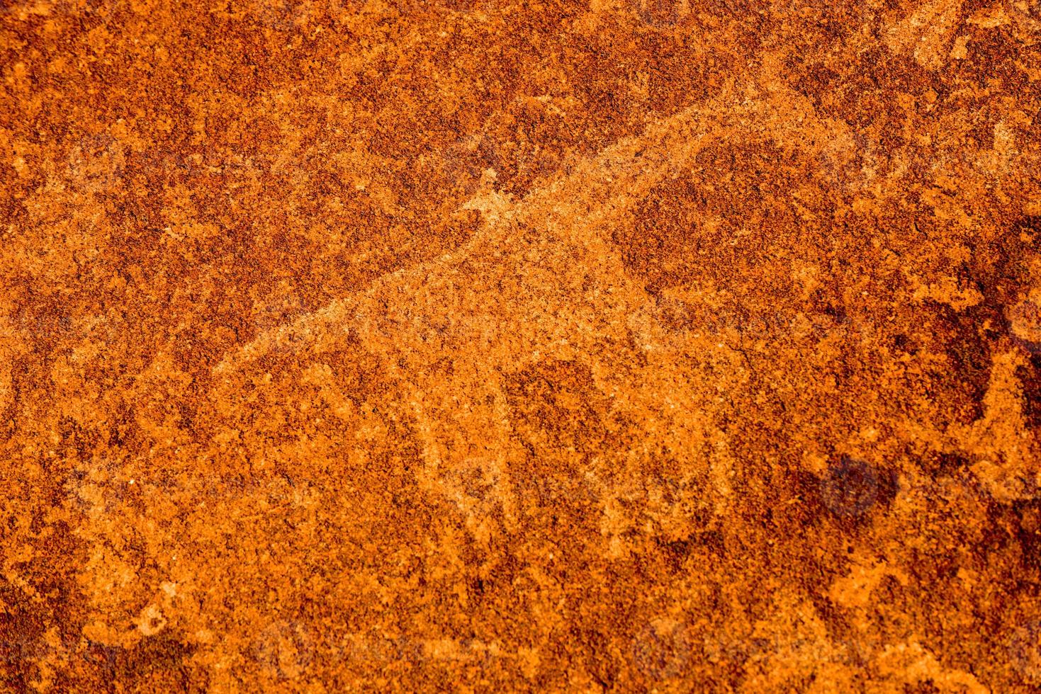 Bushman Rock Engravings - Namibia photo