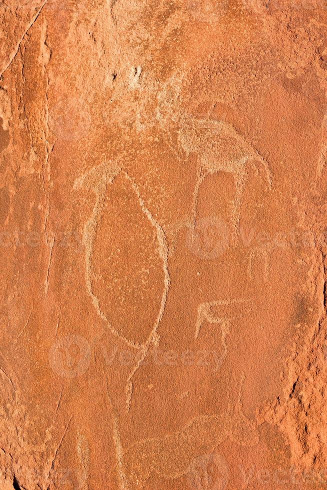 Bushman Rock Engravings - Namibia photo