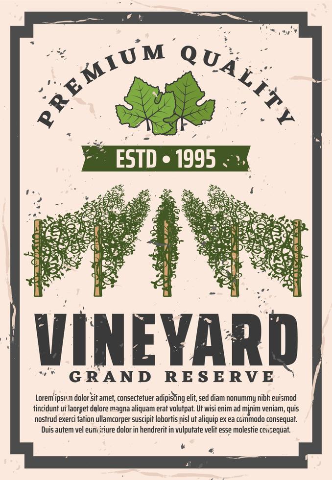 Premium quality vineyard, winemaking factory vector