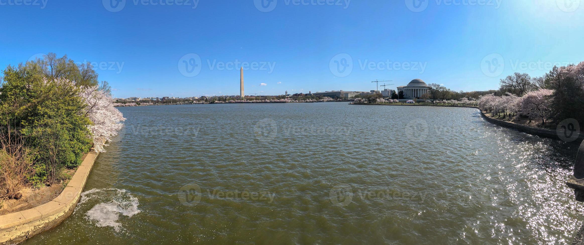 Washington Monument and cherry blossoms at the Tidal Basin during spring in Washington, DC. photo