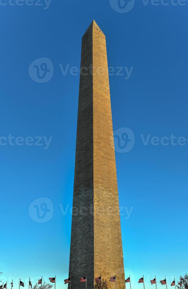 Washington Monument and cherry blossoms during spring in Washington, DC. photo