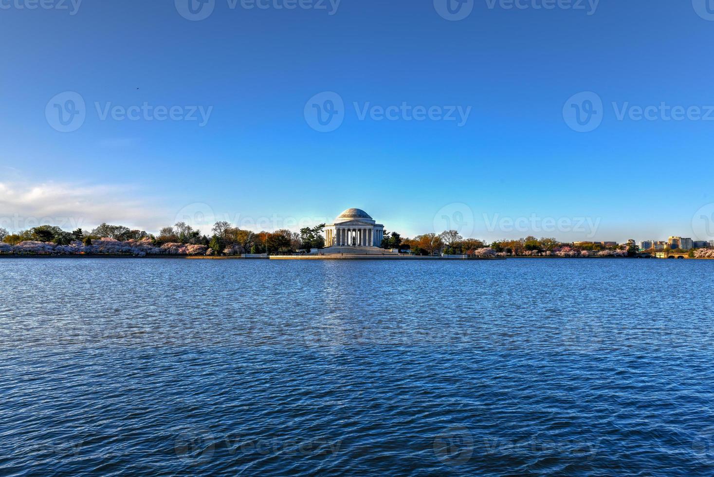 Jefferson Memorial and cherry blossoms at the Tidal Basin during spring in Washington, DC. photo