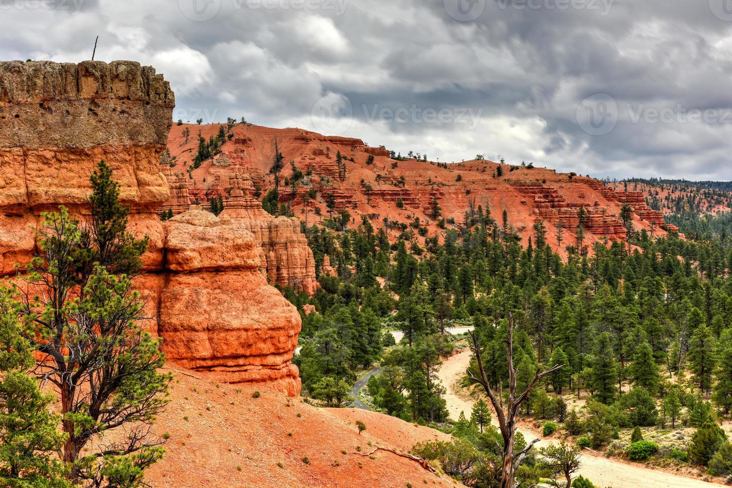 cañón rojo en el bosque nacional dixie en utah, estados unidos. foto