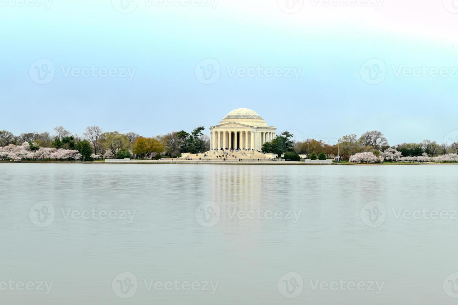 Cherry blossoms at the Tidal Basin and Jefferson Memorial during spring in Washington, DC. photo