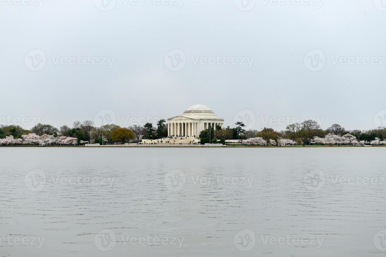 Cherry blossoms at the Tidal Basin and Jefferson Memorial during spring in Washington, DC. photo