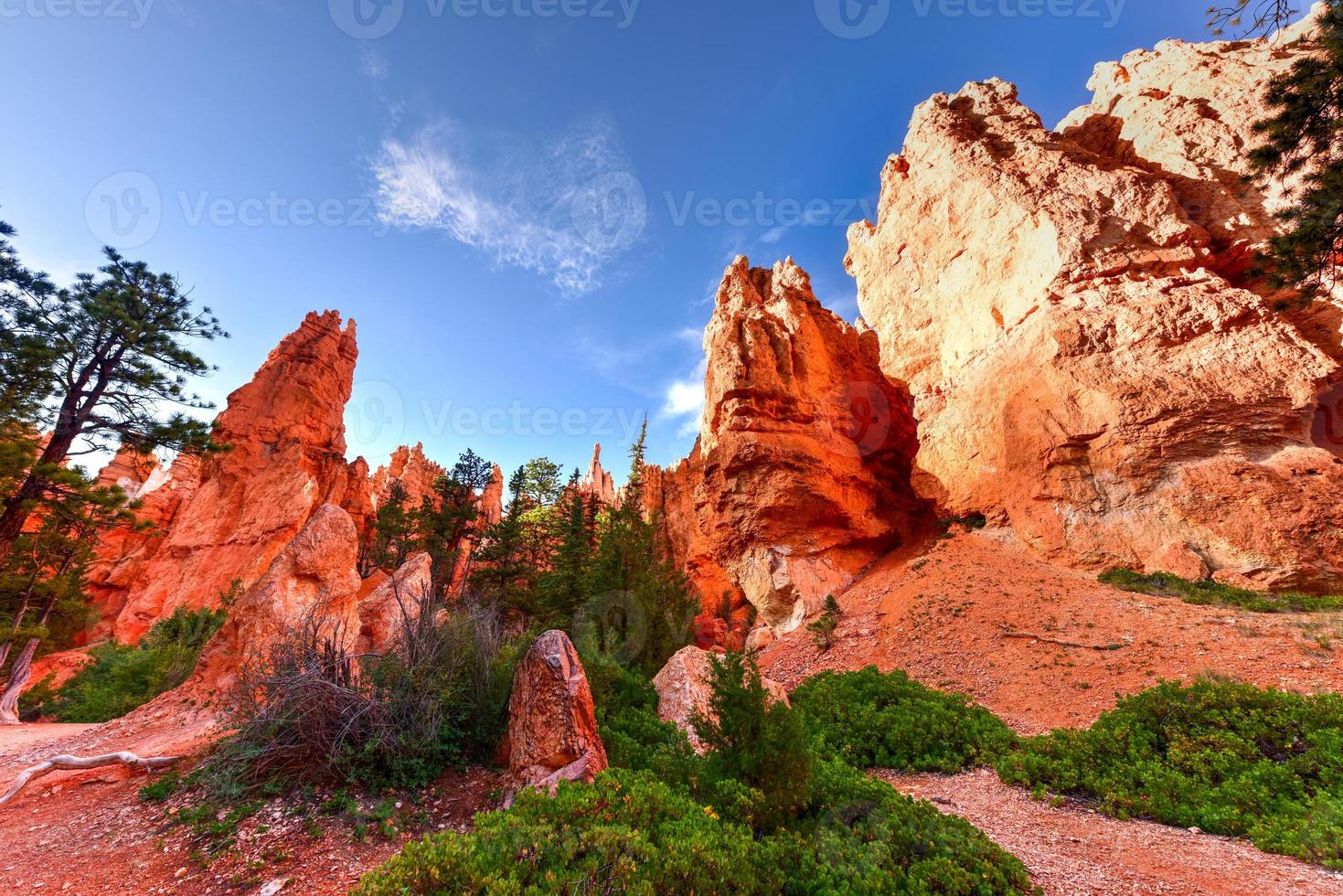 el anfiteatro en el parque nacional bryce canyon en utah, estados unidos. foto