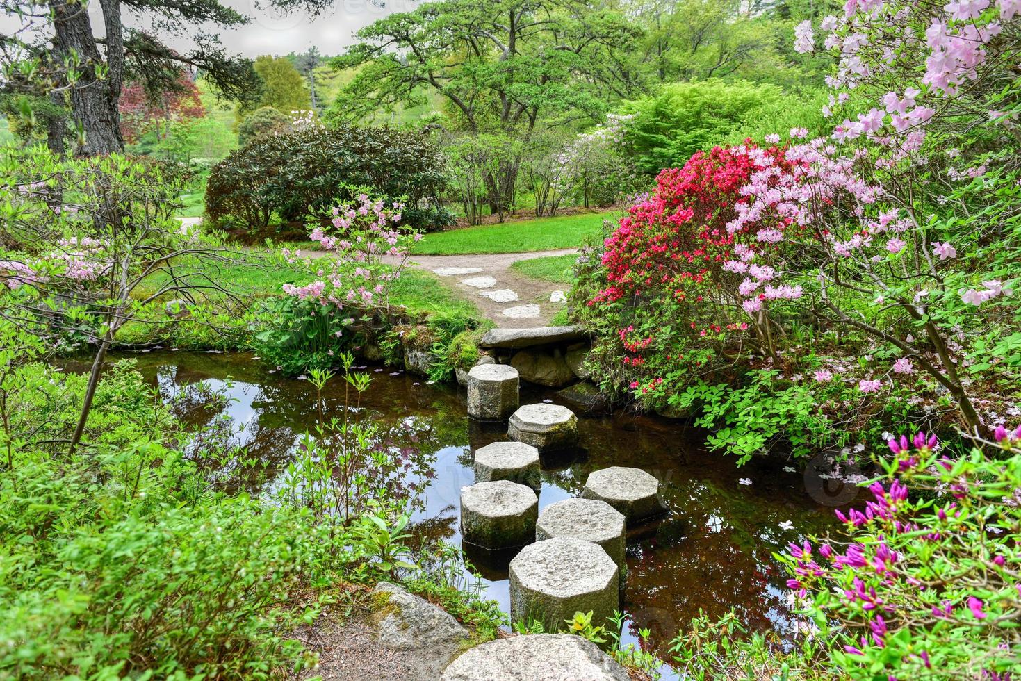 Jardines de azaleas asticou al estilo japonés en Mount Desert Island, Maine. foto