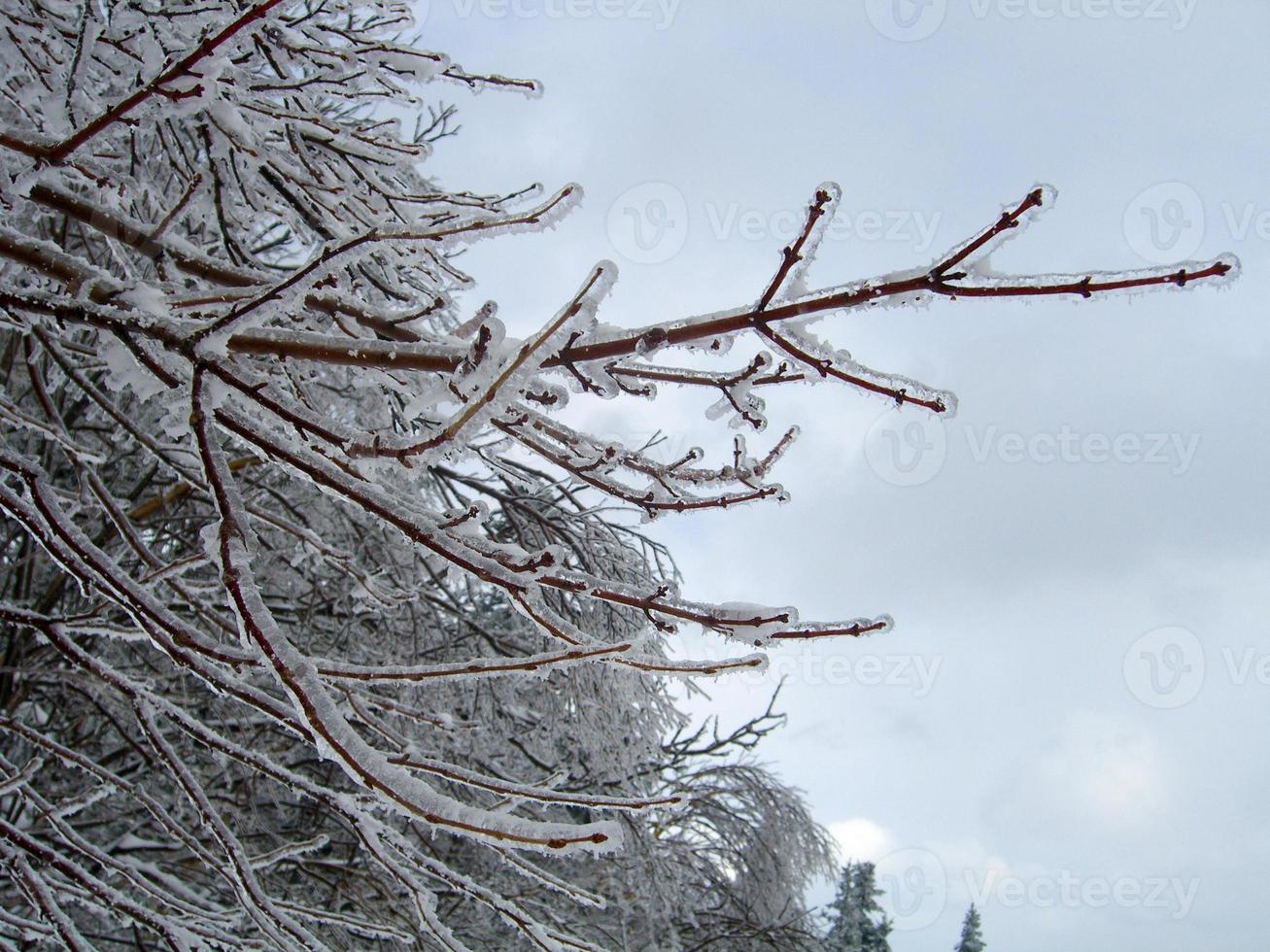 Snow covered trails in a winter ski resort in Vermont photo