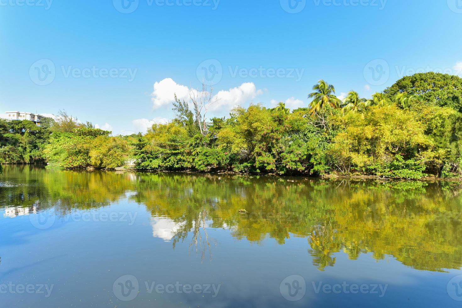 Almendares Park in the Great Metropolitan Park, also known as the forest of Havana in Cuba. photo