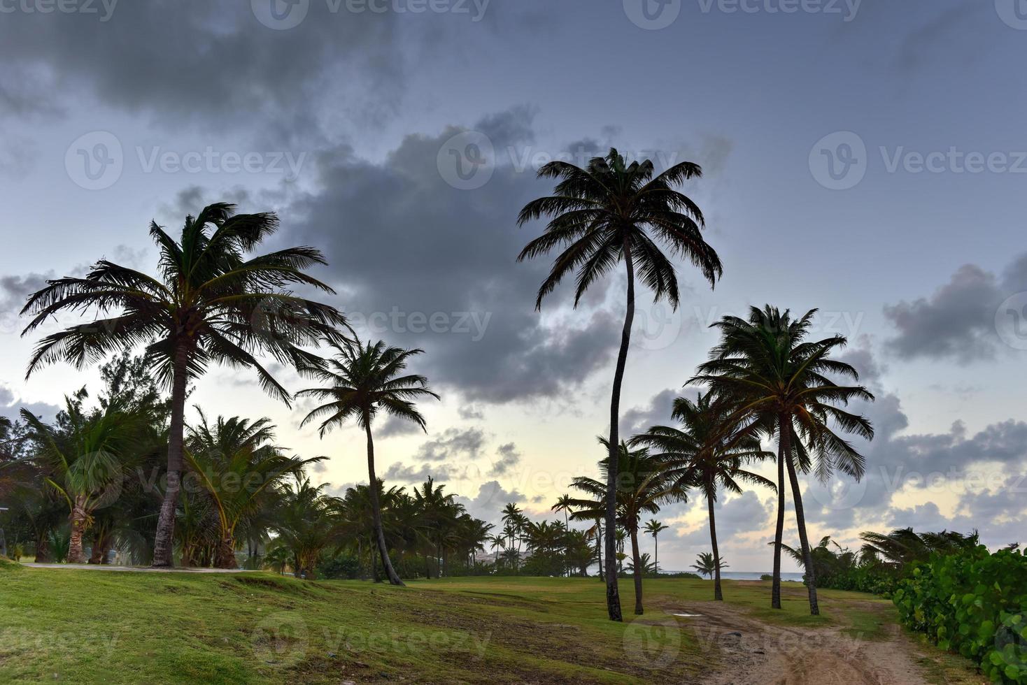 Beach with waves crossing against the rocks off of San Juan, Puerto Rico. photo