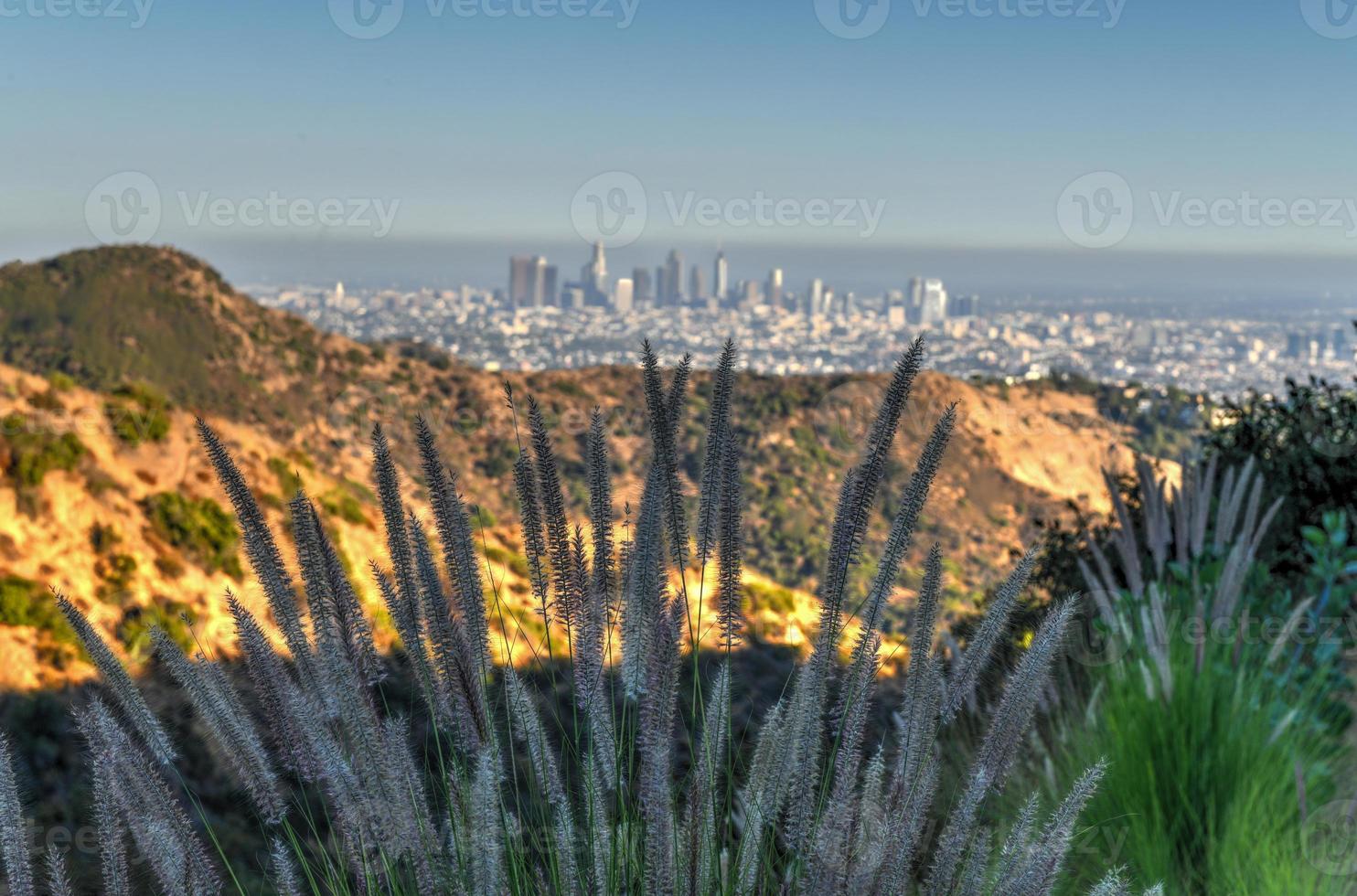 Panoramic view of the skyline in Los Angeles downtown buildings in California. photo