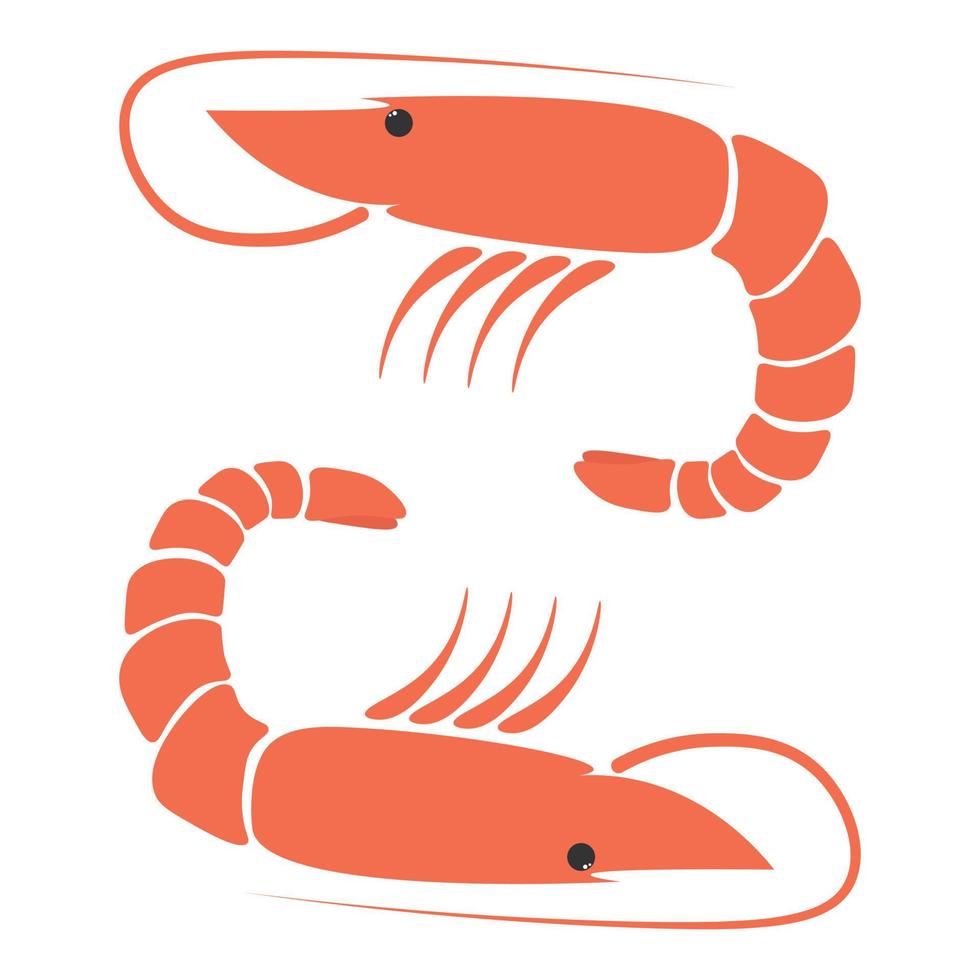 Shrimp seafood. Isolated shrimp on white background. Logo. Prawns vector