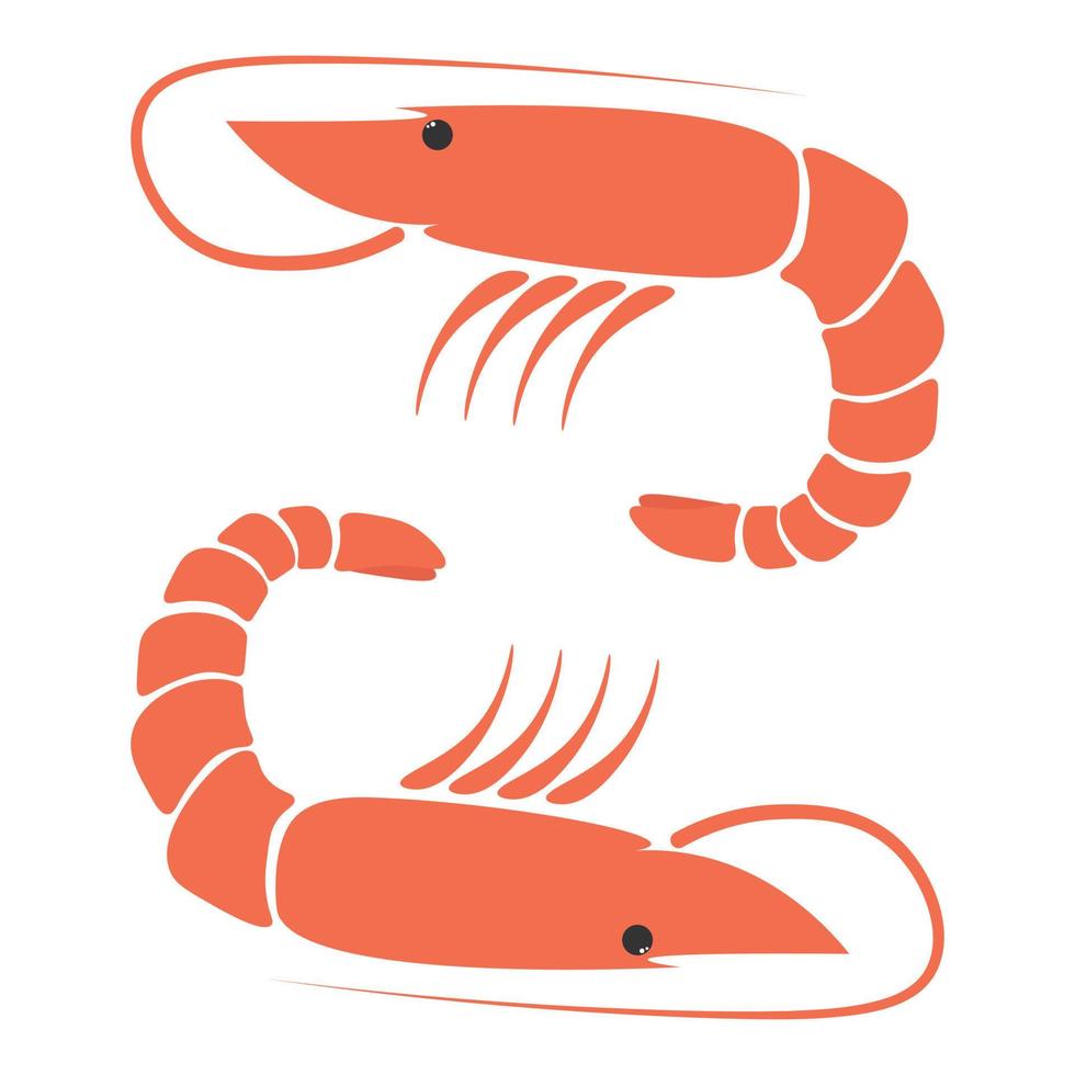 Shrimp seafood. Isolated shrimp on white background. Logo. Prawns vector