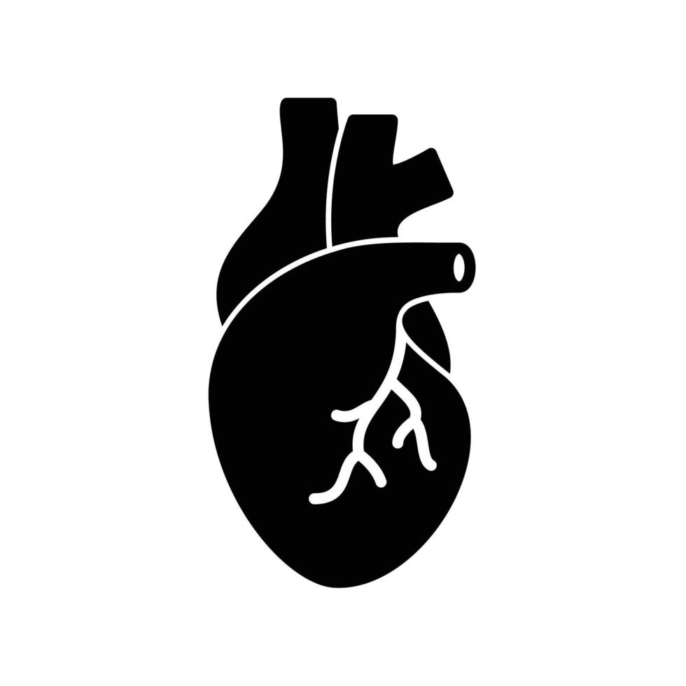 Human heart icon as an organ of the body and represents cardiology department in a hospital vector