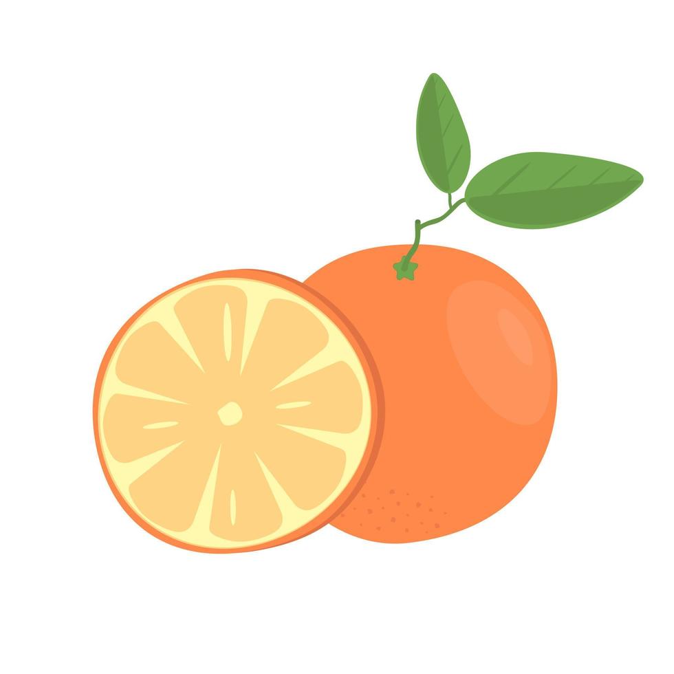 imagen de una rodaja de naranja y una fruta entera con hojas sobre un fondo blanco vector