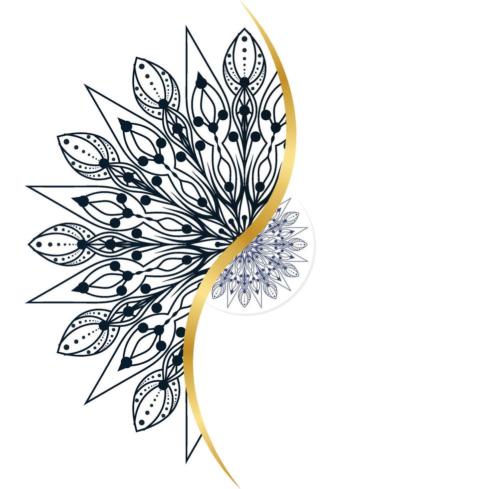 luxury mandala ornamental design vector