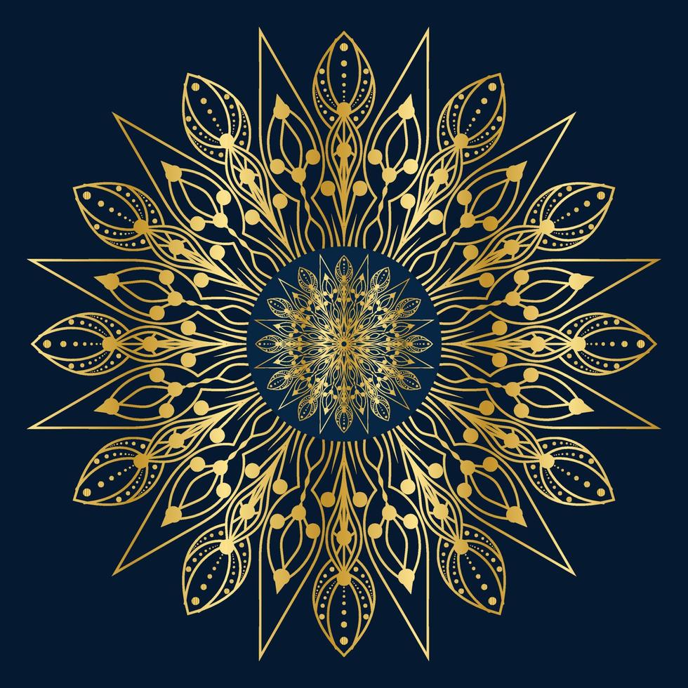 luxury mandala ornamental design vector