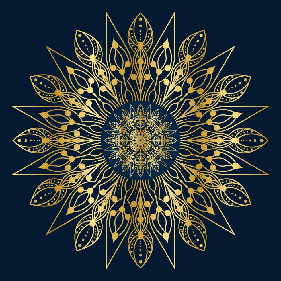 luxury mandala ornamental design vector