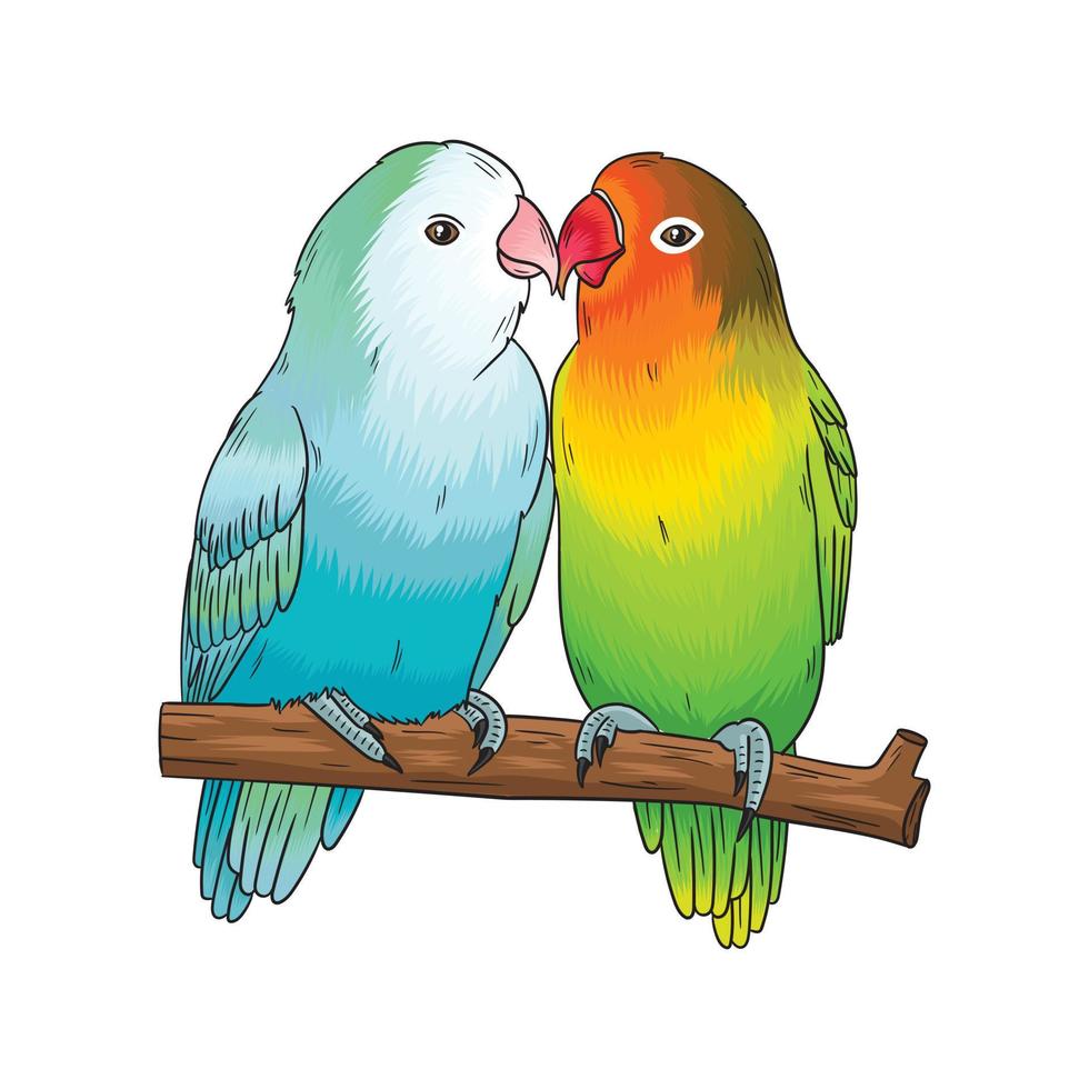 pájaros de amor vectoriales, se sentarán juntos y se amarán vector