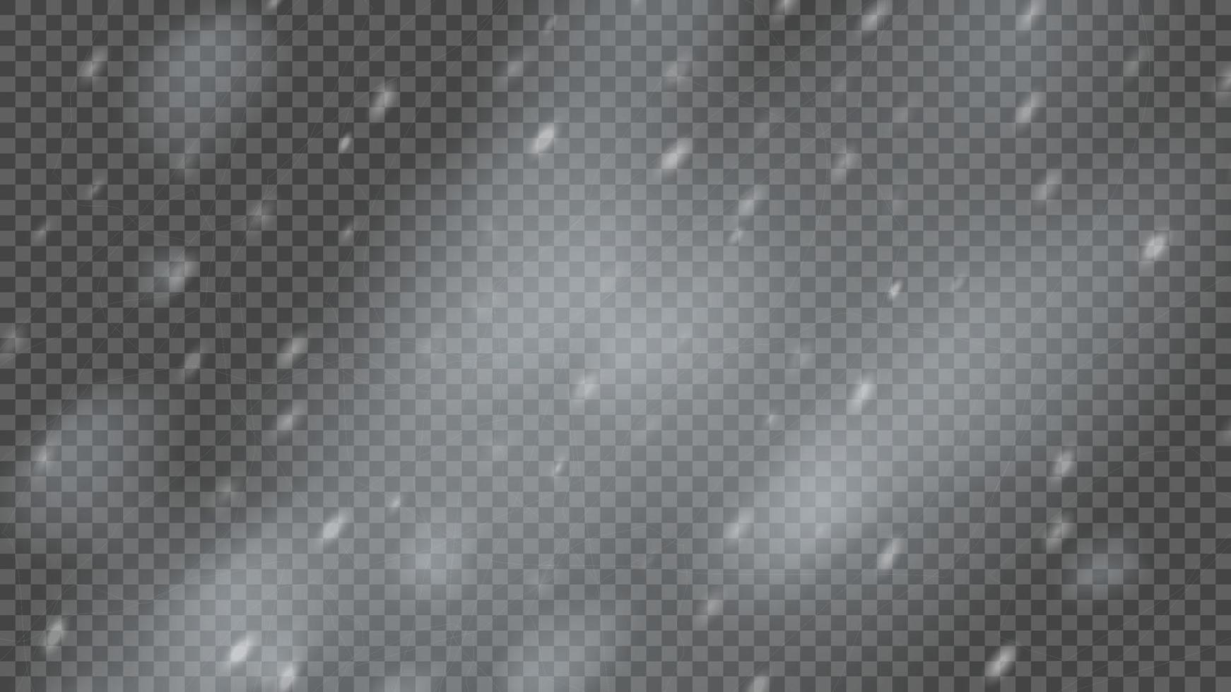 Snowstorm and falling snowflakes vector