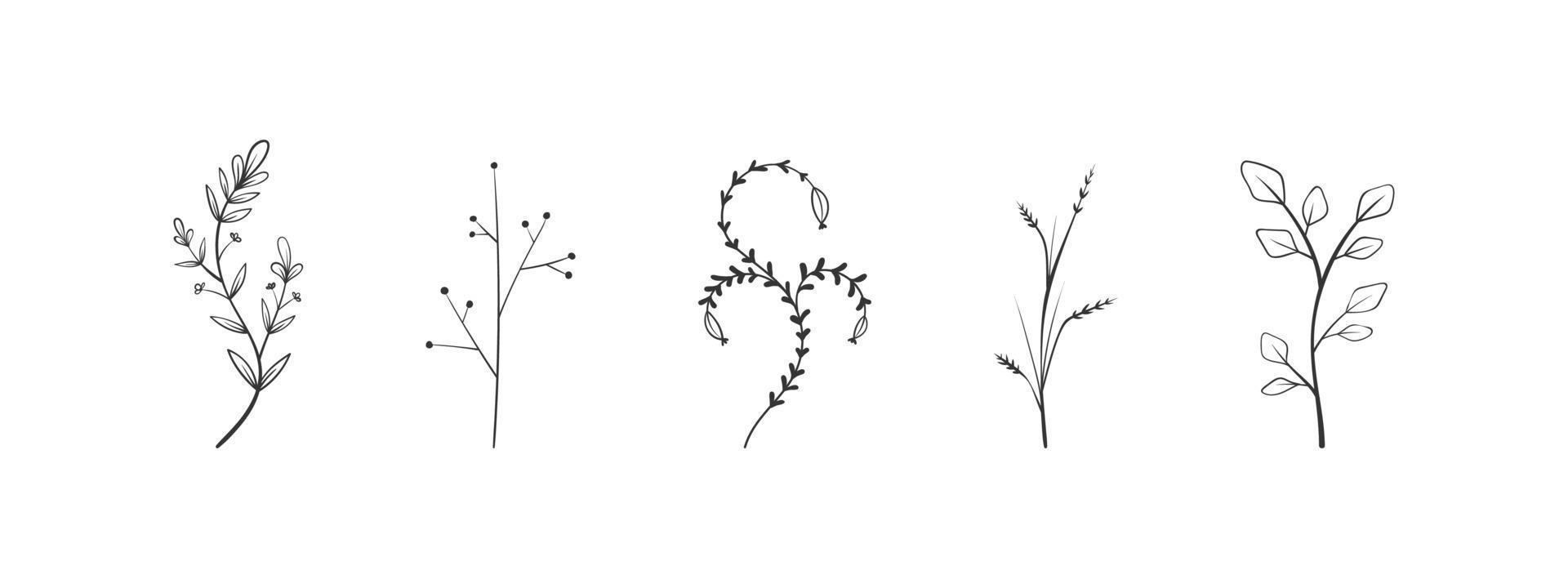 Flower elements. Twigs with leaves and flowers. Hand drawn floral elements. Vector illustration