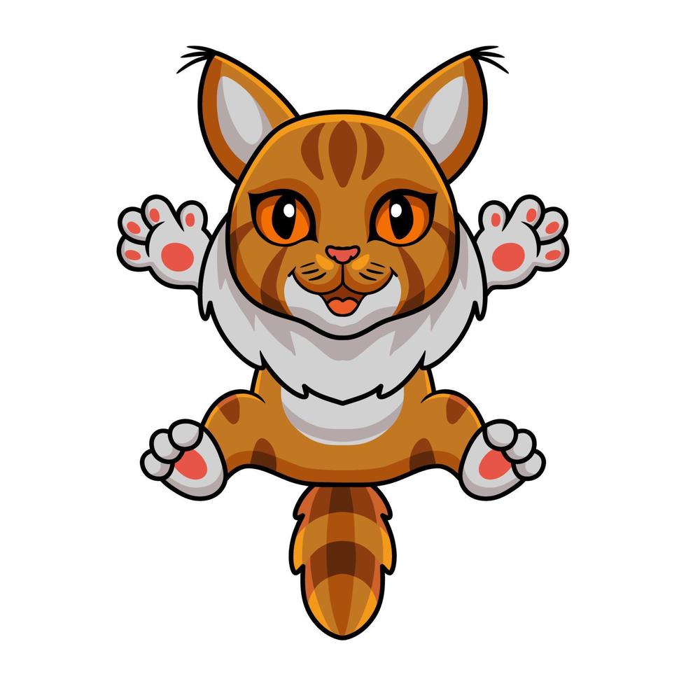 Cute maine coon cat cartoon vector