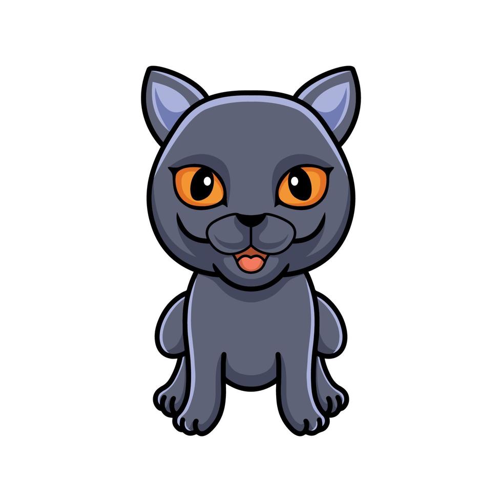 lindo, británico, shorthair, gato, caricatura, sentado vector