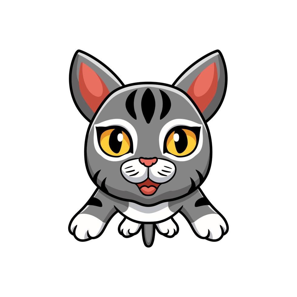 Cute manx cat cartoon flying vector