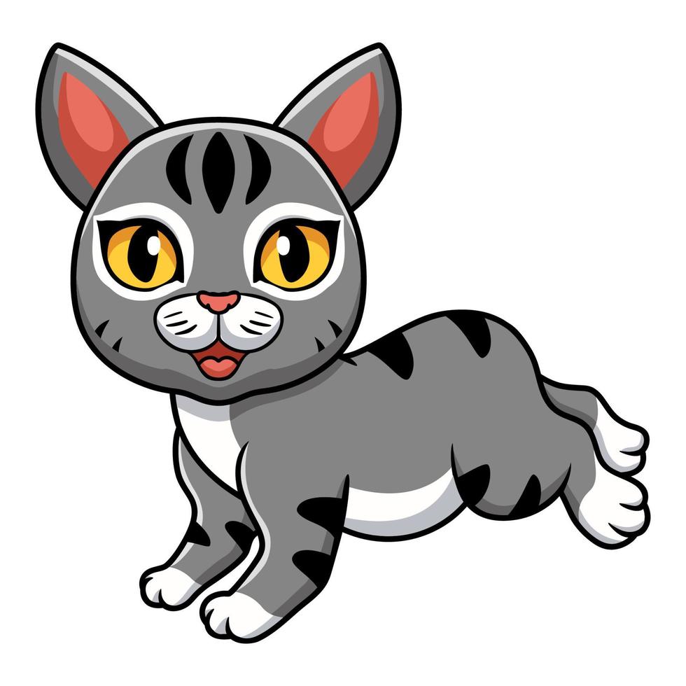 lindo, manx, gato, caricatura, ambulante vector